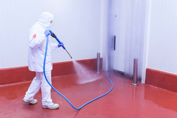 Best Concrete Sealing  in Connerton, FL